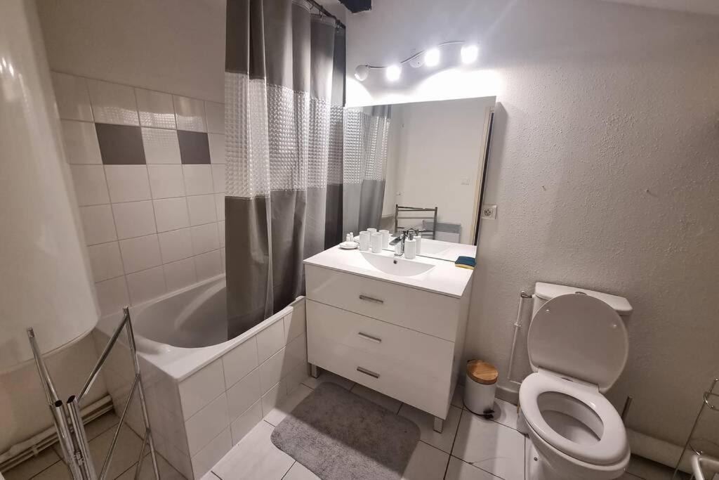 Appartement Exceptionnel 4 Etoiles Hyper Centre Albi 65 M2 Au 4Eme Etage Sans Ascenseur Avec Une Tour Du 12Eme Siecle Екстериор снимка
